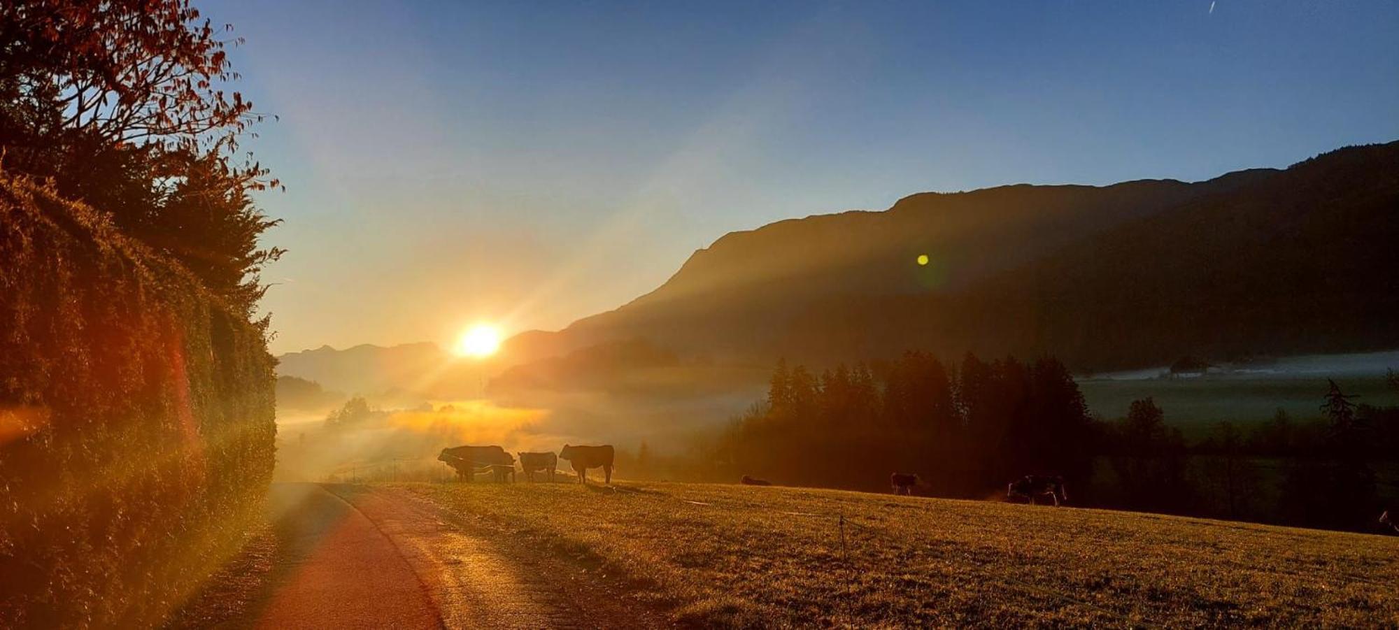 Weinbachbauer - Urlaub Am Bauernhof Villa Sankt Wolfgang im Salzkammergut Bagian luar foto