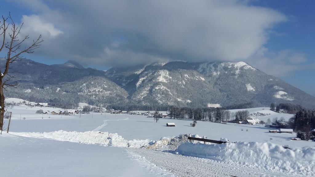 Weinbachbauer - Urlaub Am Bauernhof Villa Sankt Wolfgang im Salzkammergut Bagian luar foto