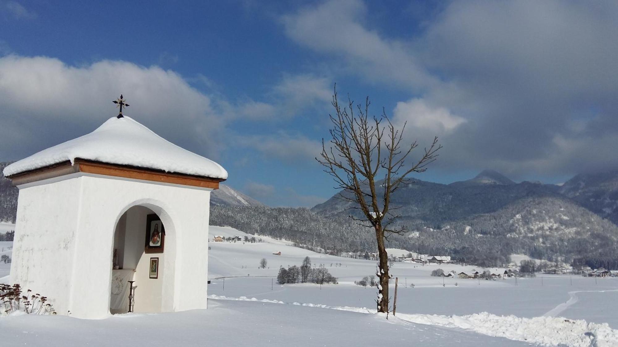 Weinbachbauer - Urlaub Am Bauernhof Villa Sankt Wolfgang im Salzkammergut Bagian luar foto