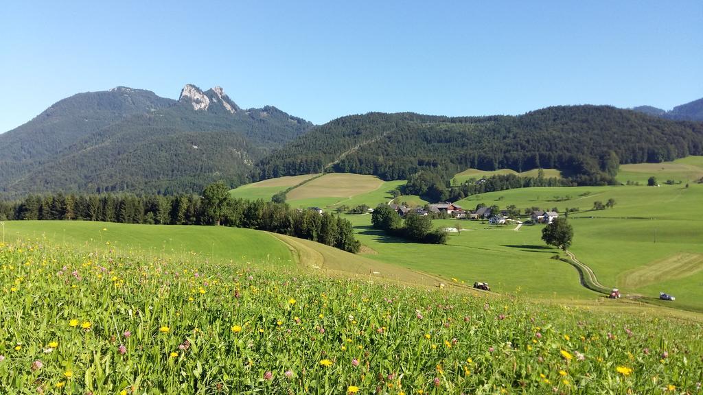 Weinbachbauer - Urlaub Am Bauernhof Villa Sankt Wolfgang im Salzkammergut Bagian luar foto