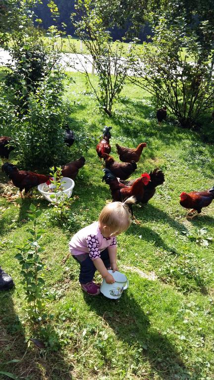 Weinbachbauer - Urlaub Am Bauernhof Villa Sankt Wolfgang im Salzkammergut Bagian luar foto